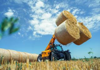 Chariot Élévateur Télescopique Dieci Agri Farmer 28.7 GD