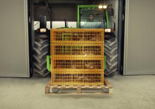 Chariot Élévateur Télescopique Merlo TF 30.9 G