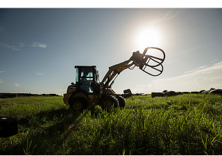 Chargeuses sur pneus Caterpillar 903D