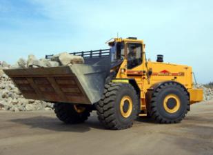 Chargeuses sur pneus Ljungby L 25