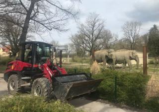 Chargeuses sur pneus Yanmar V80