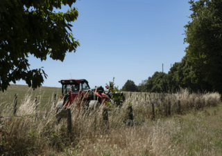 Chariot Élévateur Télescopique Manitou MLT 630-115 D Elite