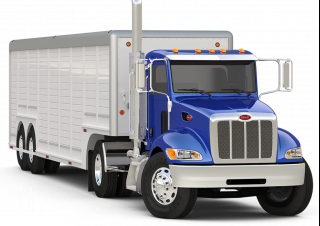 Camions Chassis Peterbilt 337 PACCAR PX-9