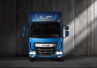 Camions Chassis DAF LF 210 FA 10t