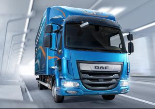 Camions Chassis DAF LF 210 FA 14t