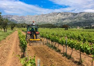 Cultivateurs Agrisem Cultivigne 