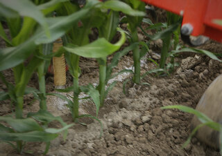 Cultivateurs Maschio HP-4