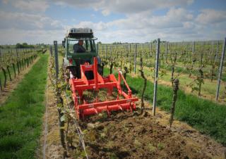 Cultivateurs Maschio Pinocchio 130/3