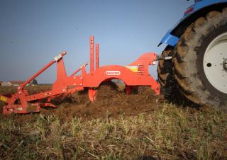 Cultivateurs Maschio Pinocchio 250/5