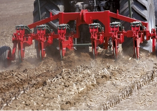 Cultivateurs Unia Plow B 8 