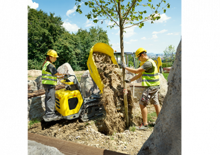Bennes à chenilles Wacker Neuson DT10