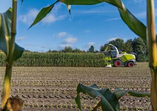 Ensileuses - traction 2 roues Claas Jaguar 840