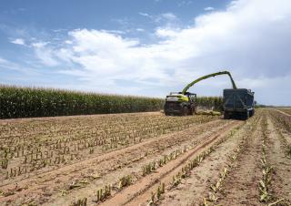 Ensileuses - traction 4 roues Claas Jaguar 1080