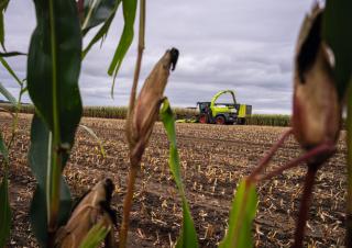 Ensileuses - traction 4 roues Claas Jaguar 1080