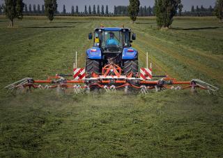 Faneuses rotatives Maschio Elia Pro 650