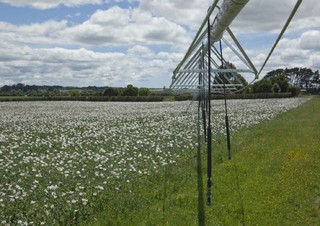 Technologie d'irrigation Flèches de pulvérisation Bauer Irrigation Centerstar 254EL