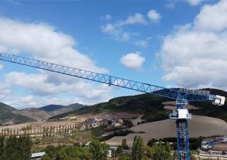 Grues à tour  - tourneur supérieur- flèche épingle Comansa LCH 300 2F