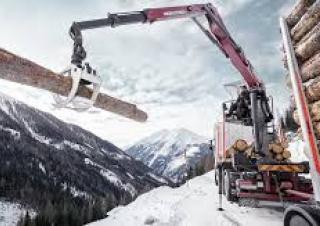 Grues de chargement à bois Epsilon TZ12 109