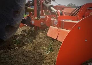 Herses rotatives Maschio Pantera L 370
