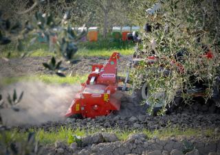 Herses rotatives Maschio W 105