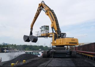 Manipulateurs de matériaux Liebherr ER 954 C Litronic