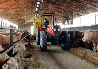 Technologie d'alimentation Mélangeurs alimentaire Storti Husky DS 120