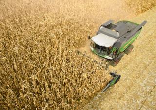 Moissonneuse-batteuses Fendt 6335 C Rice