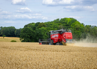 Moissonneuse-batteuses Massey Ferguson Activa 7342-MCS