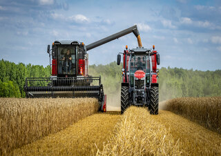 Moissonneuse-batteuses Massey Ferguson Activa 7343-MCS