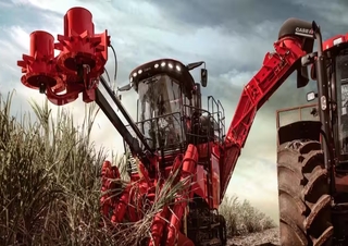 Moissonneuse-batteuses Case IH Austoft 9900