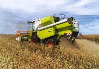 Moissonneuse-batteuses Claas Avero 240
