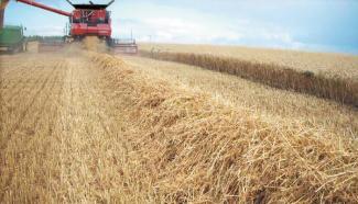 Moissonneuse-batteuses Case IH Axial Flow 9120