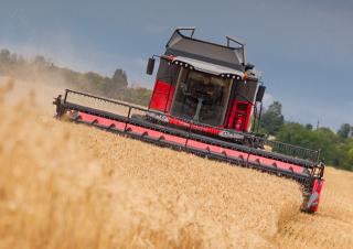 Moissonneuse-batteuses Massey Ferguson Beta 7360 PLI