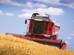 Moissonneuse-batteuses Massey Ferguson Beta 7370