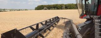 Moissonneuse-batteuses Massey Ferguson Centora 7380 AL