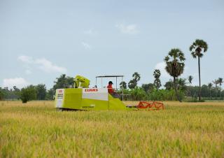Moissonneuse-batteuses Claas Crop Tiger 30 Terra Trac