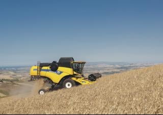 Moissonneuse-batteuses New Holland CX5.90
