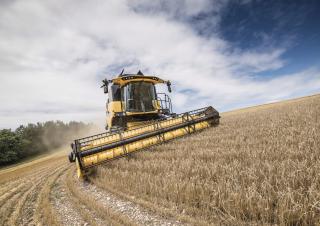 Moissonneuse-batteuses New Holland CX5.90 Laterale