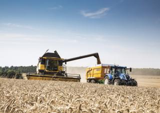 Moissonneuse-batteuses New Holland CX6.80