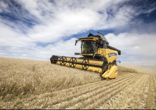 Moissonneuse-batteuses New Holland CX6.80