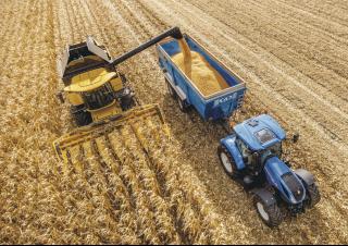 Moissonneuse-batteuses New Holland CX6.80
