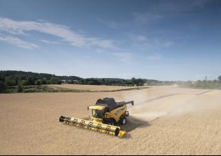Moissonneuse-batteuses New Holland CX 8090 Elevation