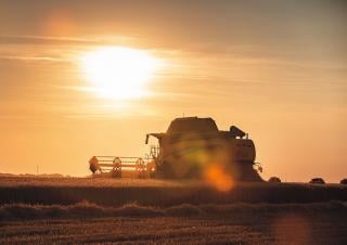 Moissonneuse-batteuses New Holland CX8.90   