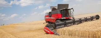 Moissonneuse-batteuses Massey Ferguson Delta 9380 AL
