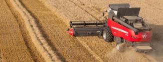 Moissonneuse-batteuses Massey Ferguson Delta 9380 AL