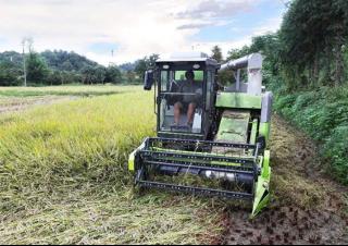Moissonneuse-batteuses Zoomlion FH120C