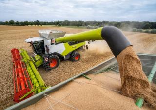 Moissonneuse-batteuses Claas Lexion 6900 