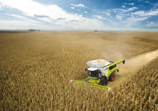 Moissonneuse-batteuses Claas Lexion 7700 TerraTrac 