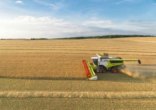 Moissonneuse-batteuses Claas Lexion 8900 TerraTrac 