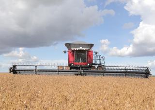 Moissonneuse-batteuses Massey Ferguson MF 9895